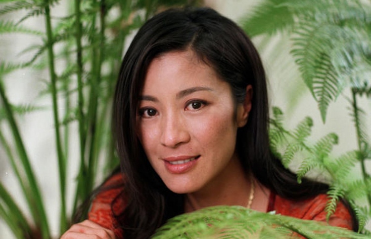 "އެވެޓާ" ސީކްއެލްތަކުގެ ކާސްޓަށް މިޝެލް ޔިއޯ