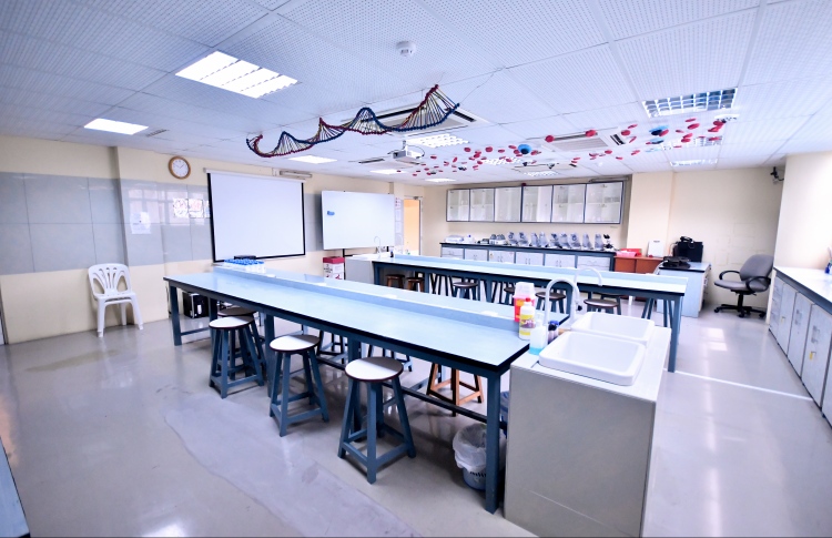 މެޑިސިން ސްކޫލްގައި ބުލީކުރި މައްސަލައެއް ބަލަނީ