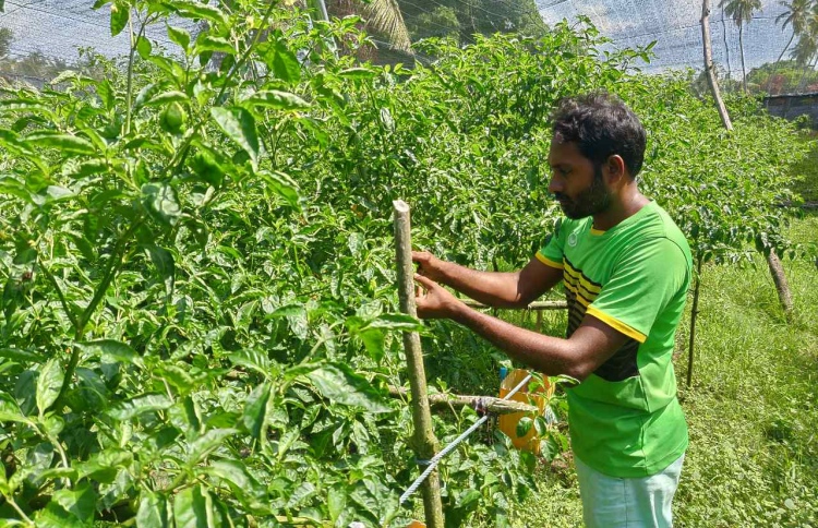 ކަނޑޫދޫ މިރުހަށް، ފުރަތަމަ ފަހަރަށް، ހީނަރުކަން!