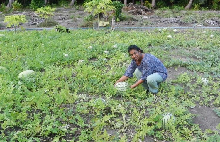 ދަނޑުވެރިންނަށް ހާއްސަ ލޯނަށް އެދެން ހުޅުވާލައިފި