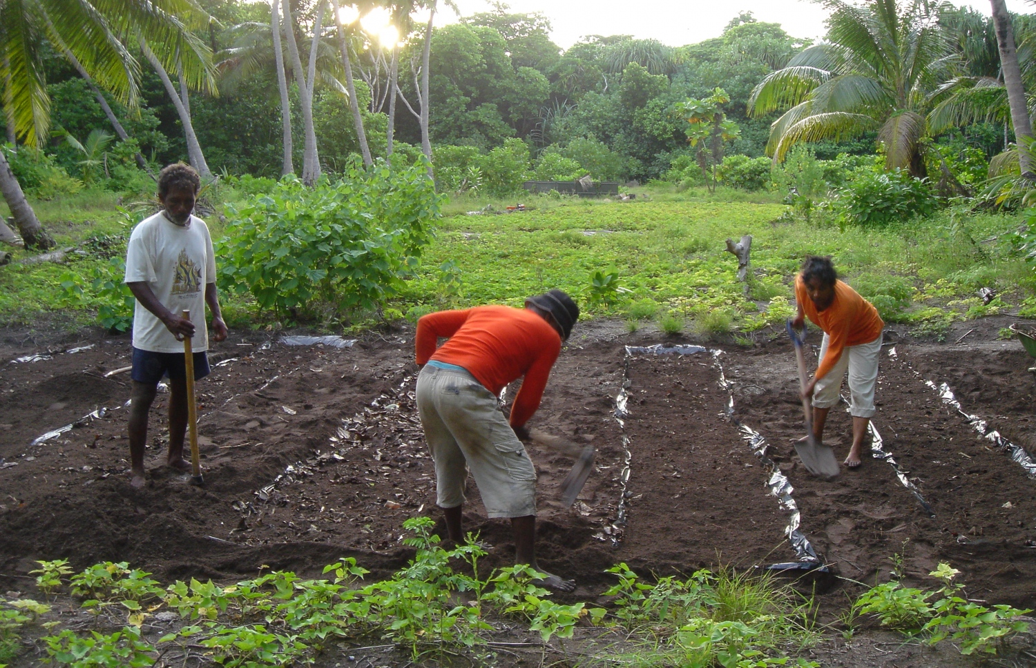 މާރިކިލުގައި ދަނޑުވެރިކަން ކުރަނީ --ފޮޓޯ: އައިލެންޑް އޯގެނިކްސް