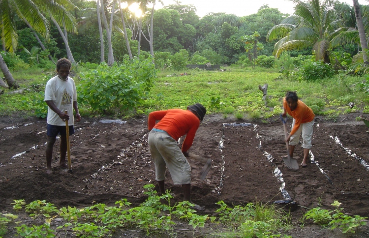ދަނޑުވެރިކަމުގެ ލޯނުގެ 30 ޕަސެންޓް އަންހެނުންނަށް
