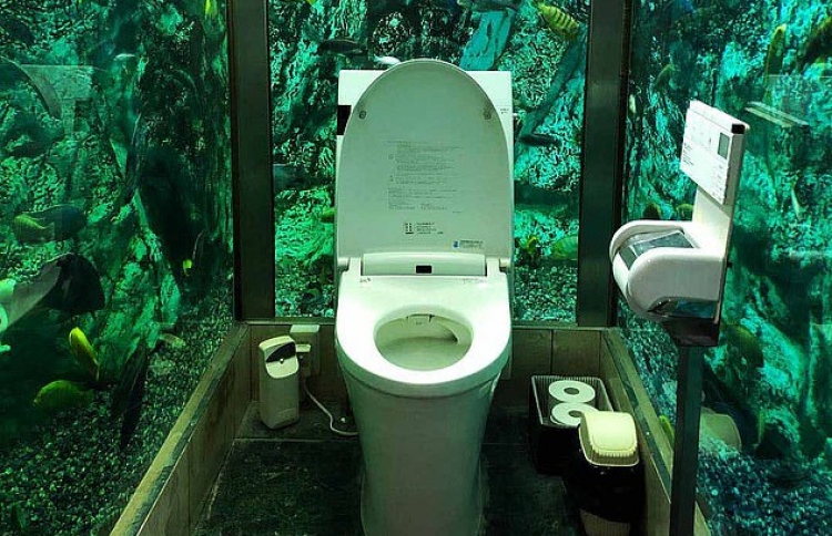 އެކްއޭރިއަމް ފާހާނާގެ މަންޒަރެއް.