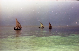 Three sail dhonis (traditional boat) in the lagoon of a Maldivian island. PHOTO: FRANK BURNABY