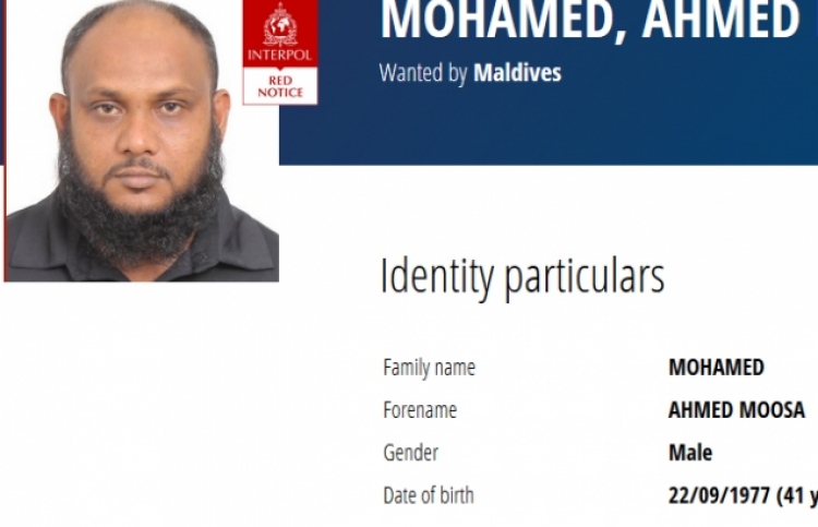 ސީލައިފްގެ ވެރިޔާ އައްމަޓީ ހޯދަން ރެޑް ނޯޓިސް ނެރެފި