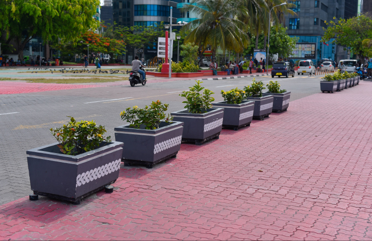 ބޮޑުތަކުރުފާނު މަގު ފުޅާކޮށް، ތާރު އަޅަން ފަށަނީ