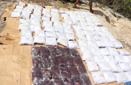 Buried drugs uncovered by Maldives Police Service. PHOTO: MIHAARU