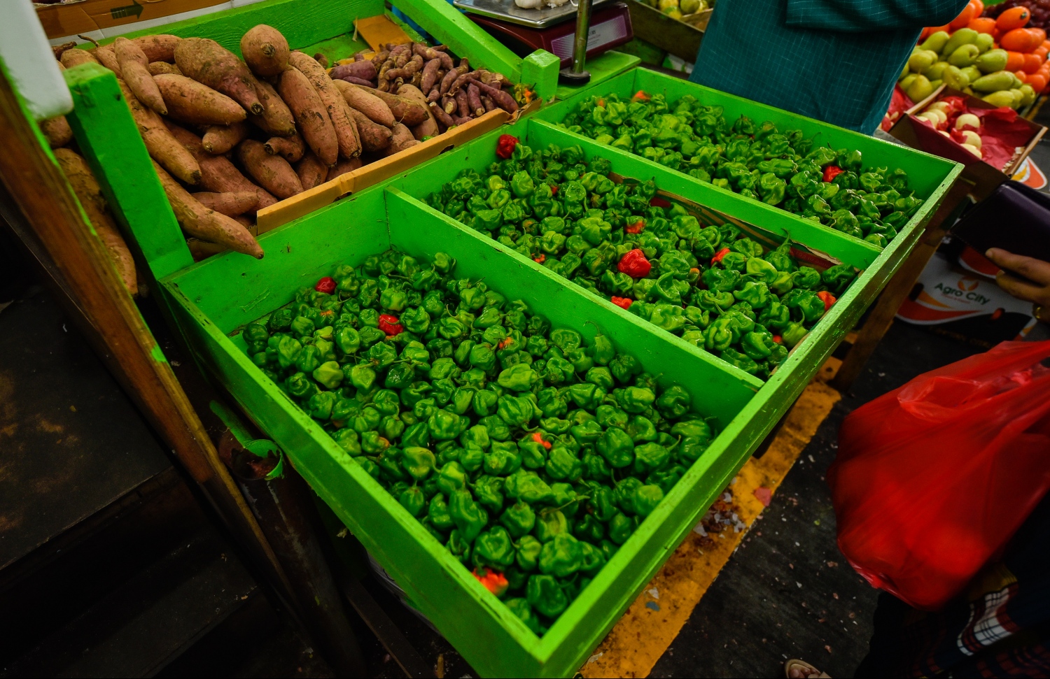 މާރުކޭޓުގައި ވިއްކަން ހުރި ގިތެޔޮ މިރުސްތަކެއް: މާރުކޭޓުގައި ކަނޑޫދޫ ގިތެޔޮ މިރުހުގެ އަގު ވަނީ ދަށަށް ގޮސްފައި-- ފޮޓޯ: ހުސެއިން ވަހީދު/ މިހާރު