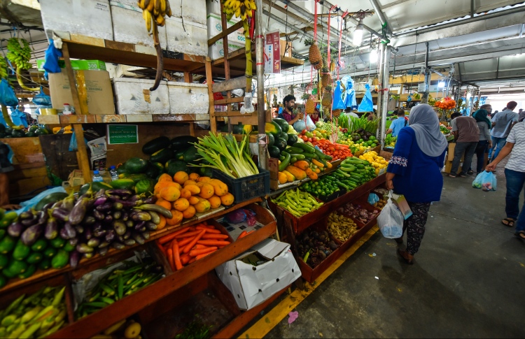 ތަރުކާރީގެ ބައެއް ބާވަތްތައް ހުސްވެއްޖެ