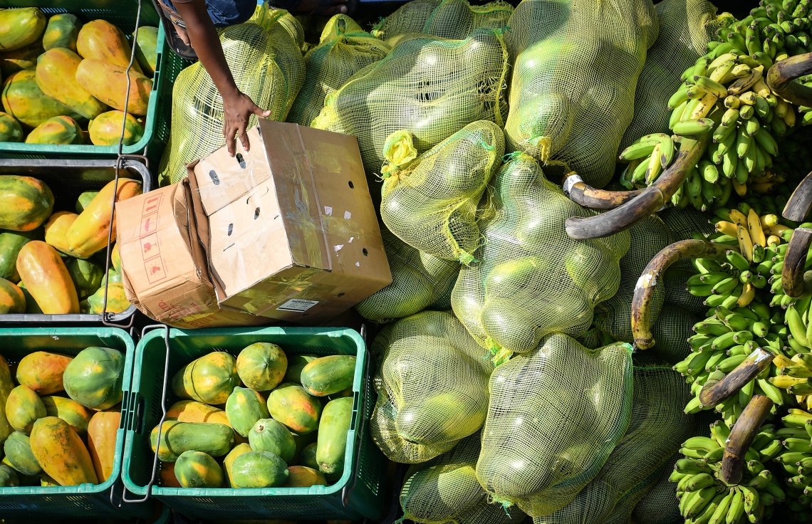 މާލެ: މޭ 5، 2019- ލޯކަލް މާރުކޭޓު ކައިރިން މީހަކު ގާޑިޔަލެއްގައި މޭވާތަކެއް އުފުލަނީ.---ފޮޓޯ: ނިޝާން އަލީ/މިހާރު