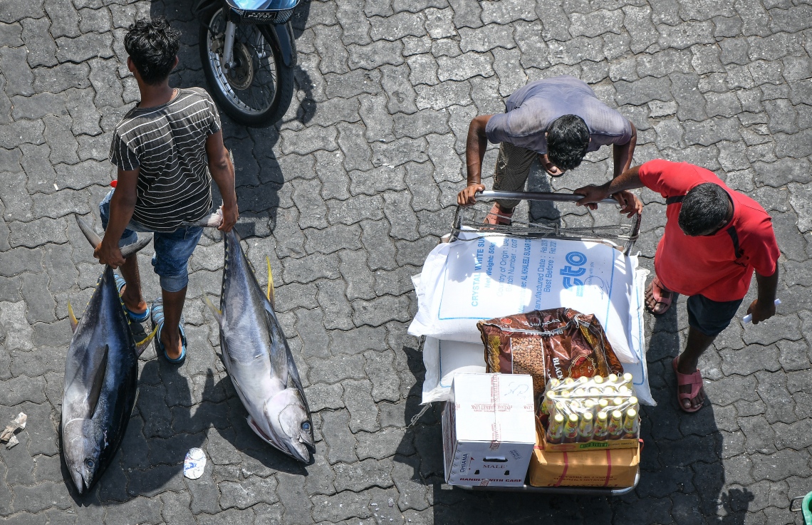 މާލެ: މޭ 5، 2019- ލޯކަލް މާރުކޭޓު ކައިރިން ބަޔަކު ޓްރޯލީއެއްގައި މުދާ ތަކެއް ގެންދާއިރު، ދެ ކަންނެލި ހިފައިގެން މީހަކު ދަނީ.---ފޮޓޯ: ނިޝާން އަލީ/މިހާރު