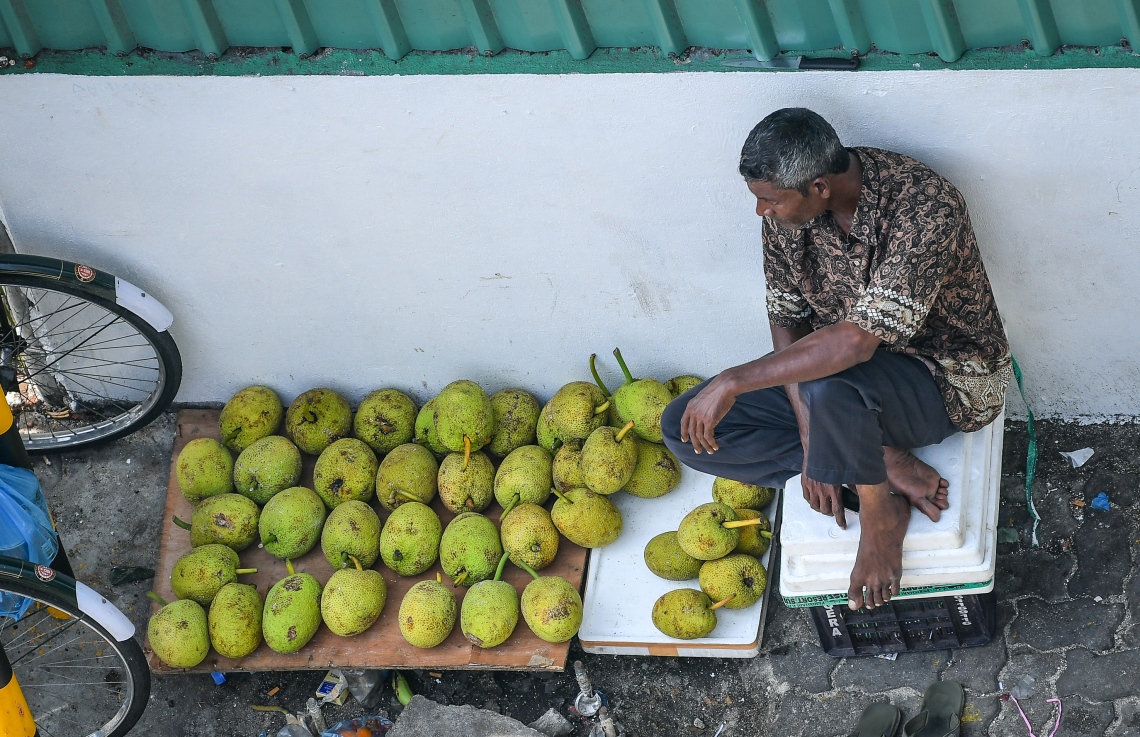 މާލެ: މޭ 5، 2019- ވަޅޯމަސް މާރުކޭޓުގައި ވިޔަފާރިކުރާ މީހަކު ބަނބުކެޔޮތަކެއް އަތުރާލައިގެން އިށީނދެލައިގެން---ފޮޓޯ: ނިޝާން އަލީ/މިހާރު