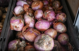 Onions stocked in the market in approach of Ramadan