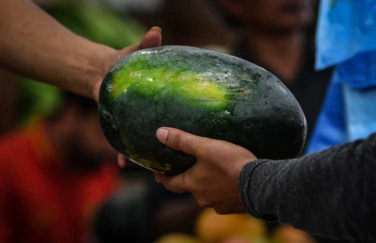 ޗަމްޕާއިން ހަދިޔާކުރި ކަރާ މާދަމާ ބަހަން ފަށަނީ