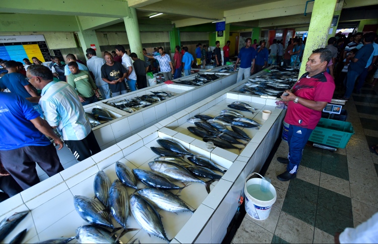 މަހުގެ އެކްސްޕޯޓް އިތުރުވެއްޖެ