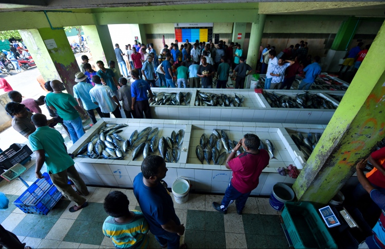 މަސްމާރުކޭޓުގެ މަތި ހުސްކުރަން އަންގައިފި