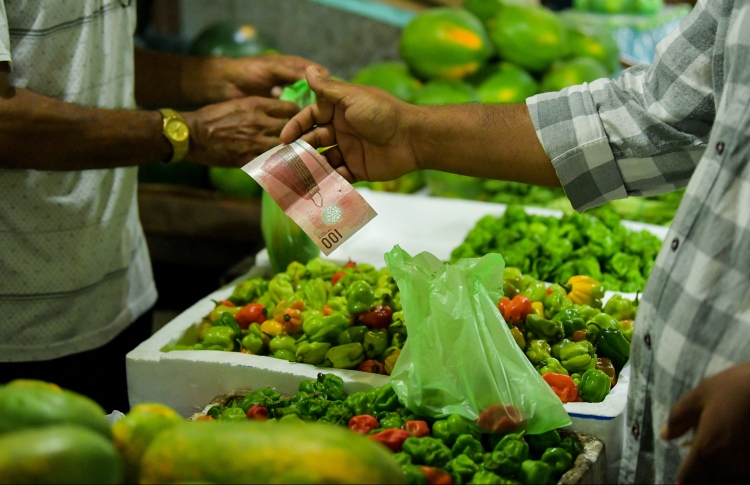 ޑިމާންޑު ދަށްވެ ކަނޑޫދޫ މިރުހުގެ އަގު ވެއްޓިއްޖެ