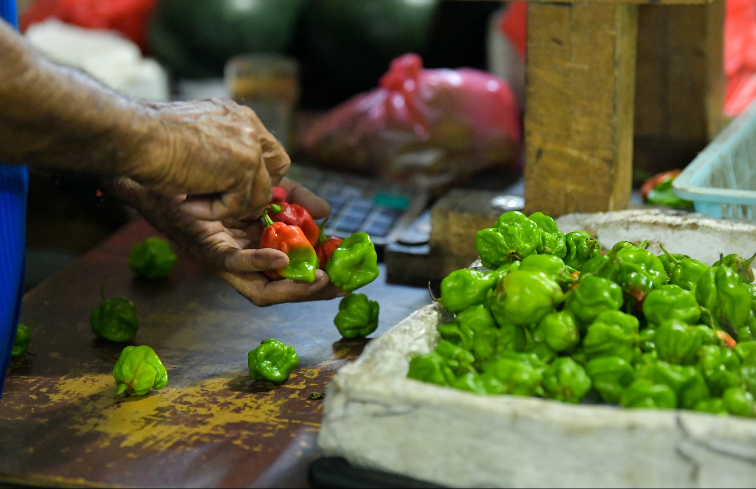 ލޯކަލް މާރުކޭޓުގައި މީހަކު މިރުސް ގަންނަނީ. -- ފޮޓޯ: ހުސެން ވަހީދު/މިހާރު