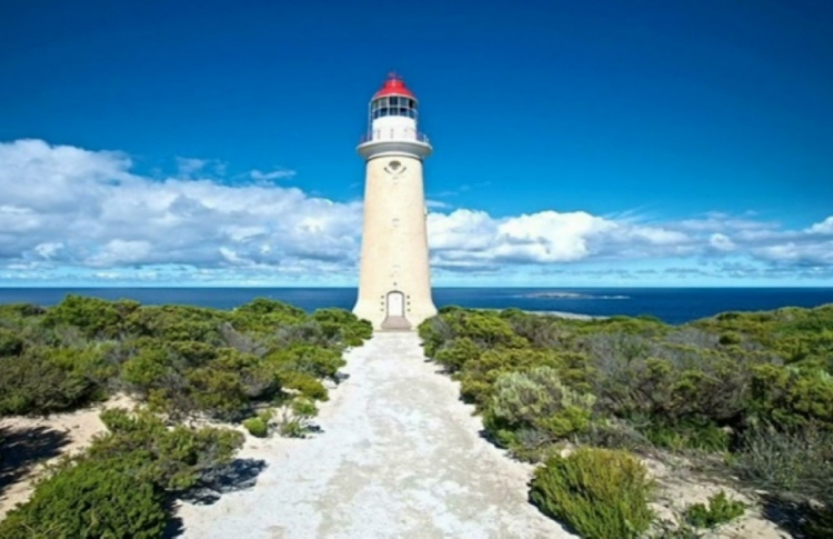 މަލިކުގައި ކަނޑުގެ ސިފައިންގެ މަރުކަޒު ހުޅުވުން މާދަމާ