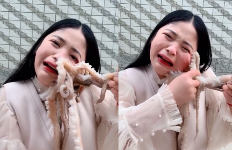 ދިރޭ ބޯވައެއް ކާލަން އުޅެނިކޮށް މޫނުގައި ތަތްކޮށްލައިފި