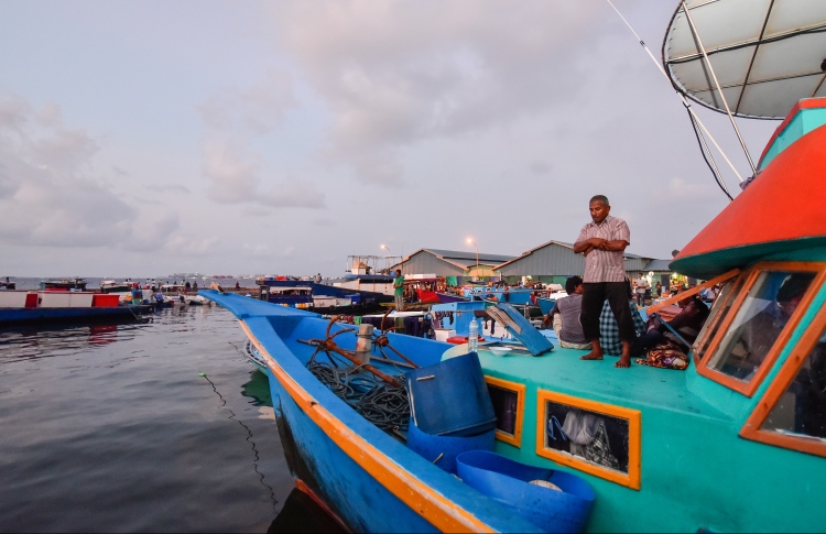 އެންދެމުމުގެ ތެރޭގައި ގެނބިގެން މީހަކު މަރުވެއްޖެ