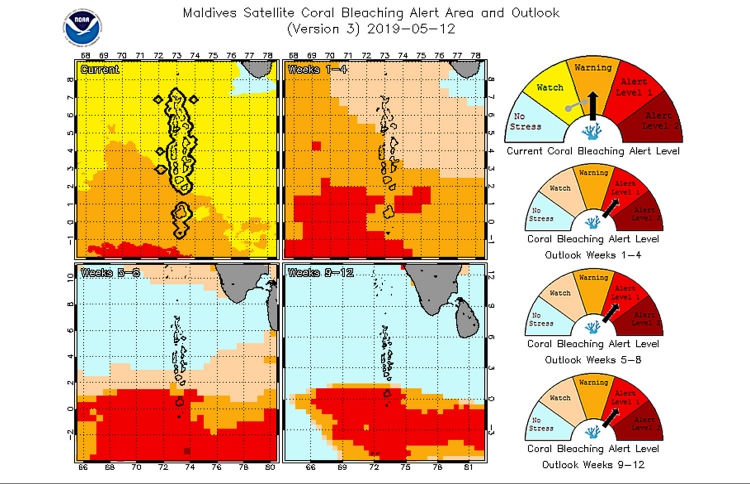 އަނެއްކާވެސް ގާ ހުދުވުމުގެ ހާދިސާއެއްގެ ބިރު