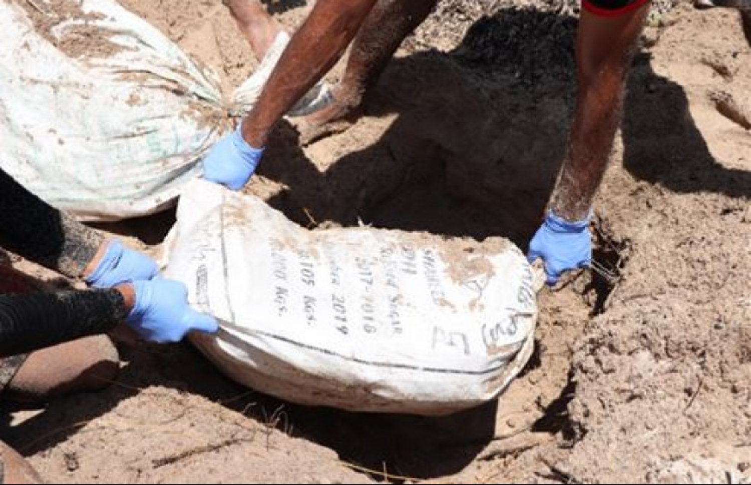 ފަޅު ރަށުގައި ވަޅުލާފައި ހުއްޓައި ފެނުނު މަސްތުވާތަކެތި.