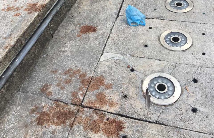 ޖުމްހޫރީމައިދާނުގައި ހުރި ފެންއަރުވާ ވަޑާމަށް ރަތްކުޅު!