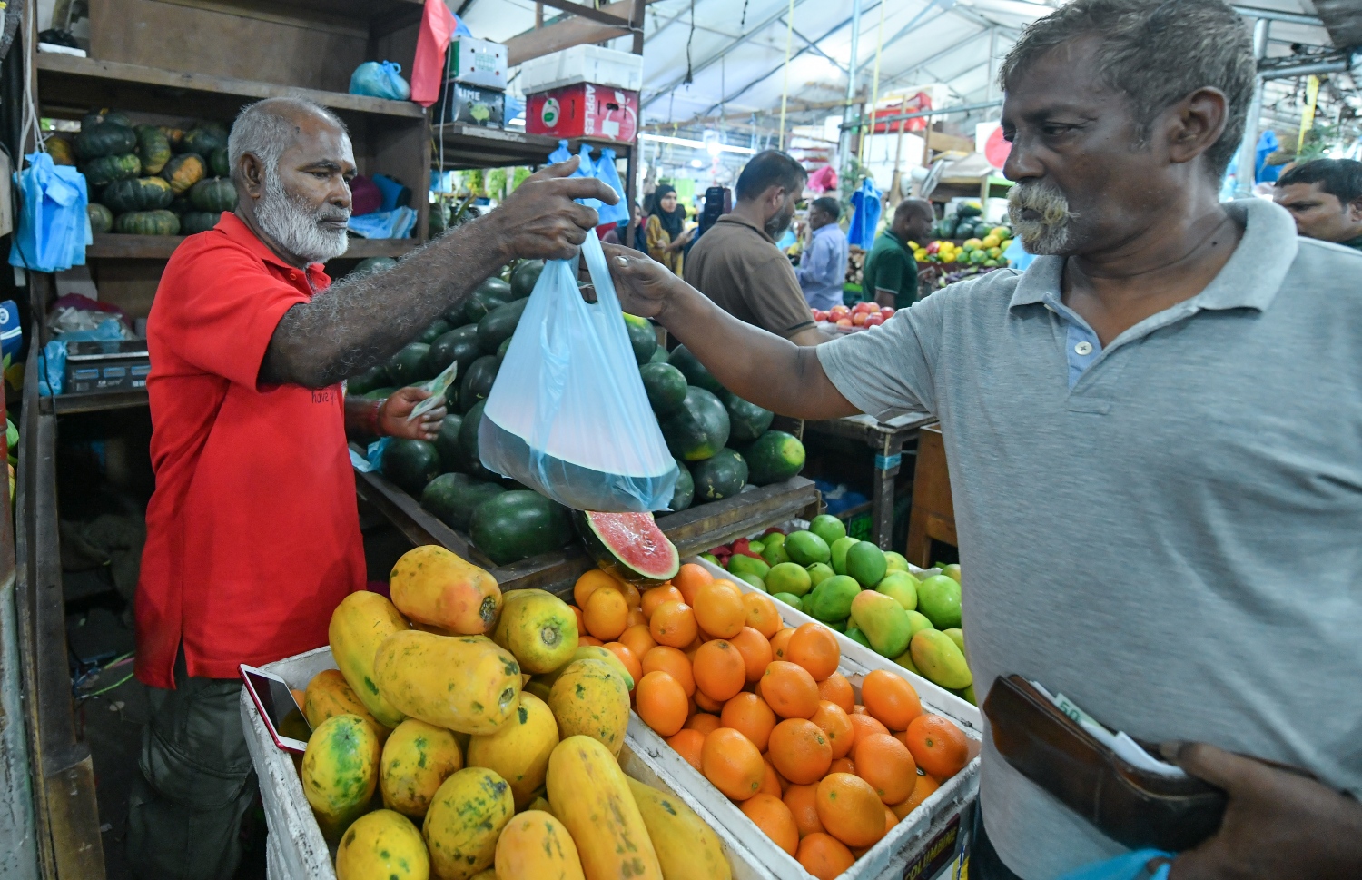 އަބްދުﷲ ހާރޫން މީހަކަށް ގޮޅިން ކަރާ ވިއްކަނީ --ފޮޓޯ:ނިޝާން އަލީ/މިހާރު