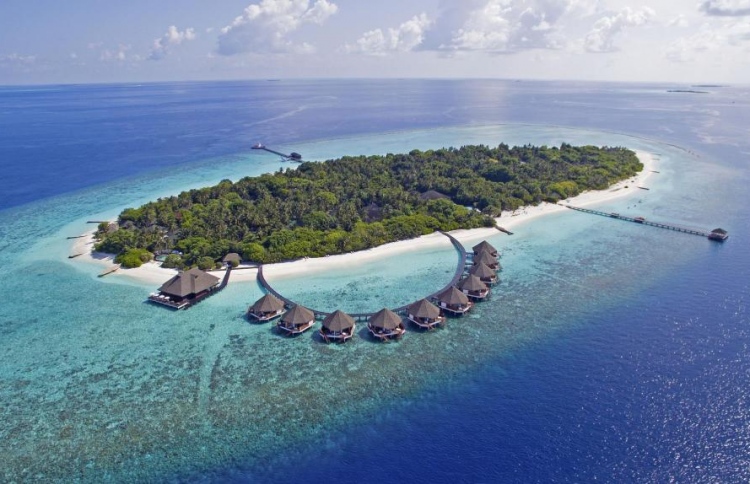 މީދުއްޕަރު ރިސޯޓުން ގިނަ ބަޔަކު ކާނާ ވިހަވެއްޖެ