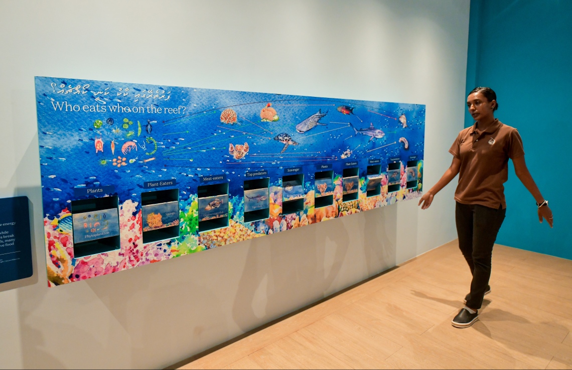 އެނބޫދޫ ފިނޮޅު: މޭ 25، 2019- ކްރޮސްރޯޑްސްގެ ނަމުގައި އެނބޫދޫ ފިނޮޅުގައި ތަރައްގީ ކުރާ ހާއްސަ ސަރަހައްދު ކްރޮސްރޯޑްސް މެރީނާގައި ހިމެނޭ މޯލްޑިވްސް ޑިސްކަވަރީ ސެންޓަރު---ފޮޓޯ: ހުސައިން ވަހީދު/މިހާރު