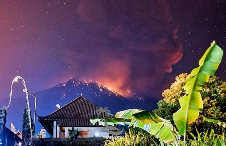 ބާލީގެ ފްލައިޓް ދަތުރުތައް އަލުން ފަށައިފި