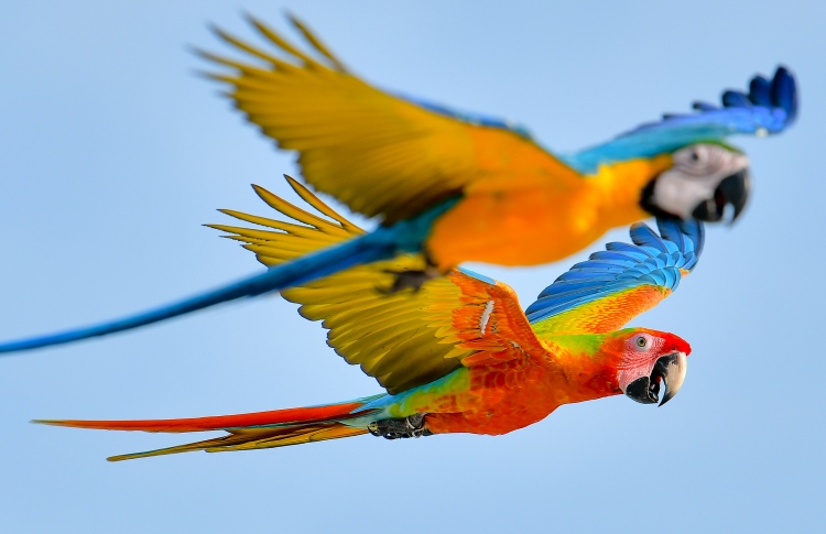 ފެރިދޫގައި ދޫނިސޫފާސޫފި ގެންގުޅޭ ނަމަ ފީއެއް ނަގަނީ