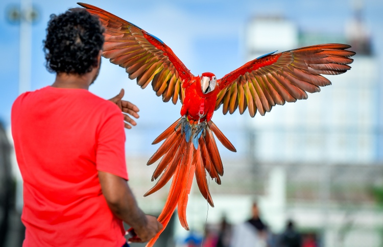 ދޫނިތައް މަރާނުލައި، ހެދޭނެ ގޮތް ނައީމްގެ ވިސްނުމުން
