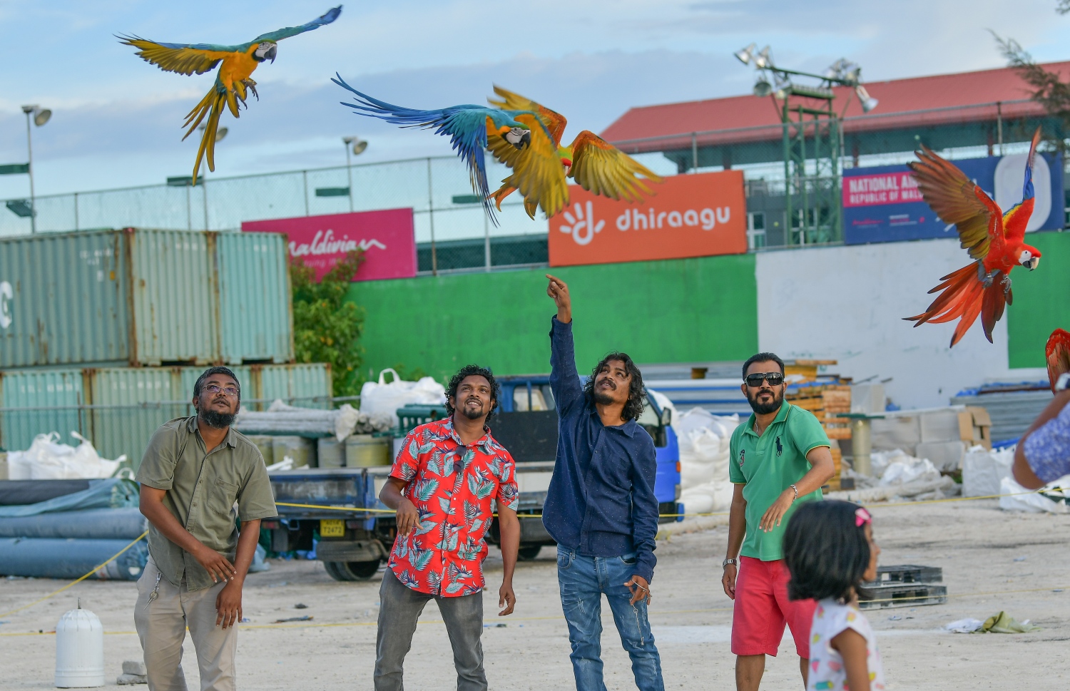 ގުރާ ގެންގުޅޭ ދިވެހި ޒުވާނުންތަކެއް، "މަކާއޯ" އުދުއްސަނީ.--- ފައިލް ފޮޓޯ: ނިޝާން އަލީ/މިހާރު