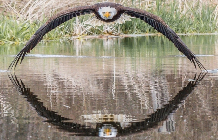 މިއީ އާދަޔާ ހިލާފު ފޮޓޯއެއް!