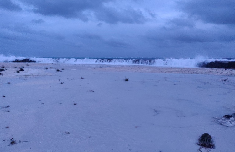 ކޮމަންޑު އަށް ވަރަށް ބޮޑަށް އުދަ އަރައިފި