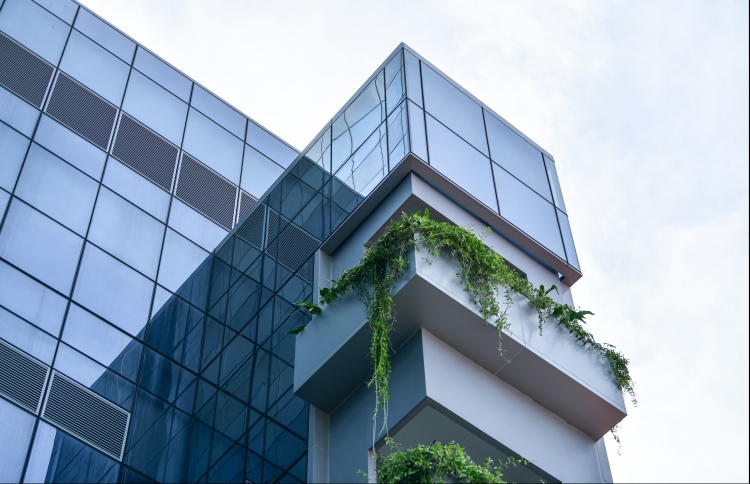 ހޮސްޕިޓަލް މަޝްރޫއަށް ޓެކްސް ދެއްކުން ފަސްކުރާ އަމުރެއް