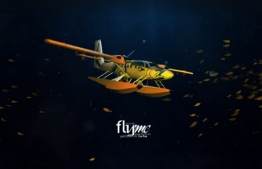 A model of the aircraft Flyme will utilize for their seaplane operations. PHOTO: FLYME