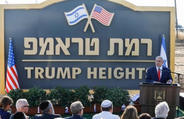 ޓްރަމްޕަށް ނިސްބަތްކޮށް ގޯލަން ހައިޓްސްގައި އާބާދީއެއް!