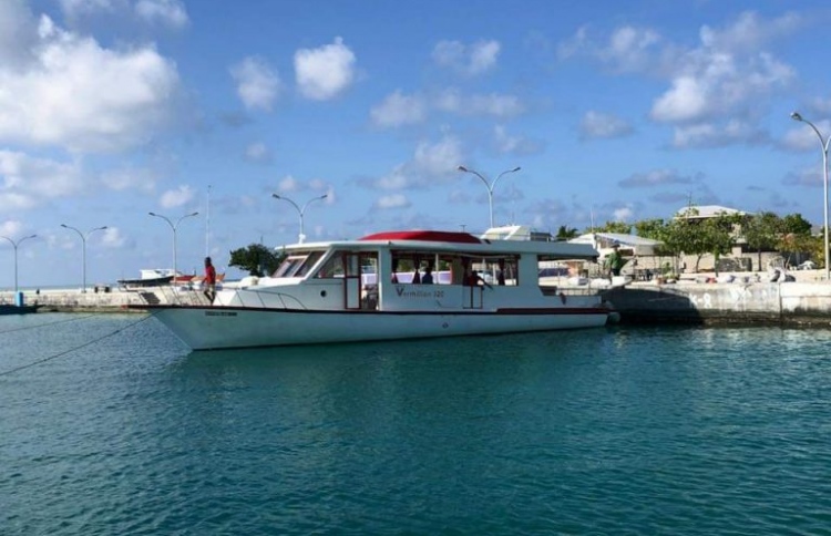 ތިން އަތޮޅެއްގެ ފެރީތައް ވާމިލިއަނުން ހުއްޓާލައިފި