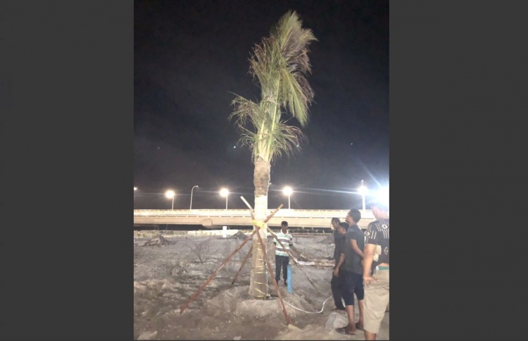 ބޭރުން ރުއް ގެނެސް ލޮނުޒިޔާރަތްކޮޅުގައި އިންދަނީ