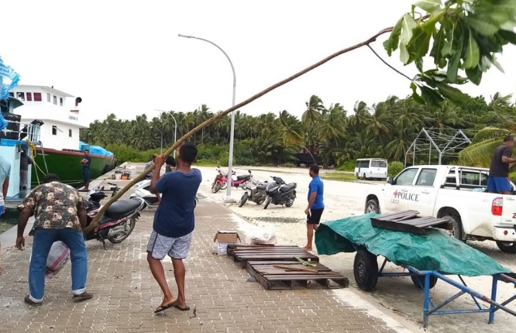 ނުގަވާއިދުން ނެގި ގަސްތަކެއް ފުލުހުން ހޯދައި އިންދައިފި