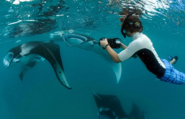 ރާއްޖެ އިތުރު ބަޔޮސްފިއާ ރިޒާވްތަކަކާ ދިމާލަށް!