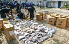 Disposal of drugs confiscated by Police. PHOTO: NISHAN ALI / MIHAARU