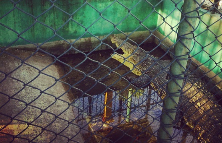 ކިނބުލަށް ވީ ގޮތެއް ބަލާނަން: އެމްއެންޑީއެފް