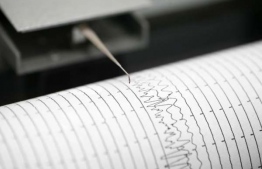 A Richter Scale measuring the magnitude of an earthquake: PHOTO: UPHIndia