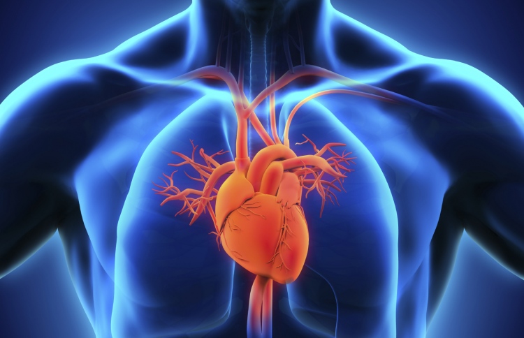 ސާޅީސް ފުރުމުގެ ކުރިން ލޭމައްޗަށްދާ ނަމަ ނުރައްކާ ބޮޑު