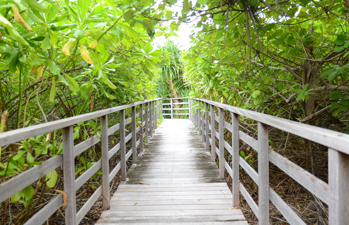 ސ. ހިތަދޫ: ޖުލައި 17، 2019- އައްޑޫ ނޭޗާ ކްލަބްގައި ހިމެނޭ އީދިގަލި ކިޅި ބެލުމަށް ޚާއްސަ ކޮށްފައިވާ ޕްލެޓްފޯމް.---ފޮޓޯ: އަހުމަދު މަހްޒޫމް