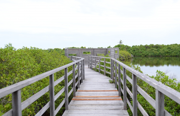 ބްރިޖާއެކު ނޭޗާ ޕާކަށް ގެއްލުންވާނެތީ ކަންބޮޑުވުން